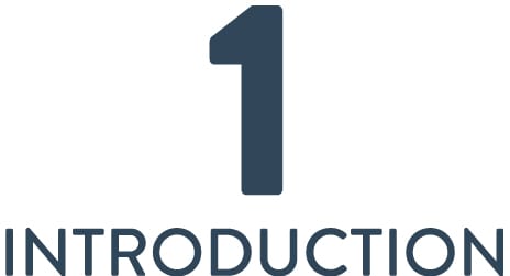 1 Introduction